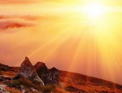 Bawalah Damai Jangan Pedang