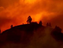 Memilih Antara Sabat dan Lapar