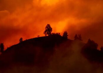 Memilih Antara Sabat dan Lapar