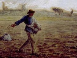 Benih Firman Ditabur di Tanah Hati