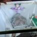 Selamat Jalan Mama Gina, Mama Panti Asuhan Eugene Schmitz – Lewoleba – Lembata