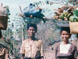 Pneta Alep Pendamai  Paji-Demon