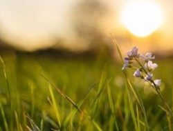 Jaga Keindahan Luar dan Dalam