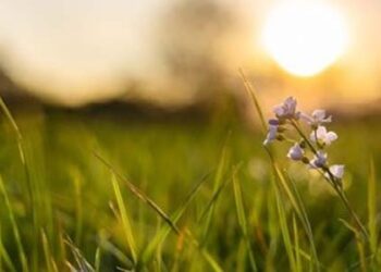 Jaga Keindahan Luar dan Dalam