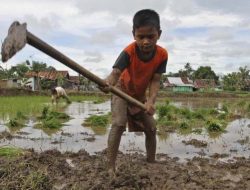 Cerpen Tino Patihuriq: SEPASANG SEPATU