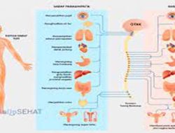 Penerapan Model Kooperatif Tipe Stad Pada Mata Pelajaran Biologi Tentang Sistem Koordinasi dan Alat Indera