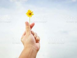 Harapan Tumbuh Dari Yang Kecil