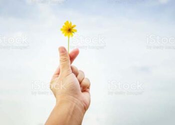 Harapan Tumbuh Dari Yang Kecil