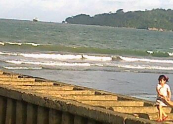 Memilih yang Terbaik