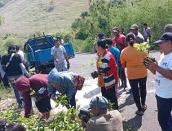 Peringati Bulan Lingkungan Hidup, Jemaat GMIT Lembata Tanam 500 Anakan Pohon di BCL