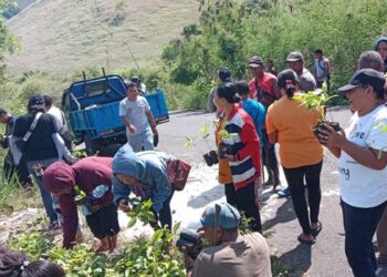 Peringati Bulan Lingkungan Hidup, Jemaat GMIT Lembata Tanam 500 Anakan Pohon di BCL