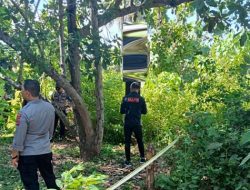 Warga Tabali – Larantuka Nekad Habisi Nyawa dengan Gantung Diri di Dahan Pohon Jambu Mente