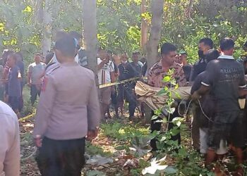 Diduga Warga Tabali – Larantuka Gantung Diri karena Masalah Ekonomi