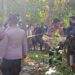 Diduga Warga Tabali – Larantuka Gantung Diri karena Masalah Ekonomi