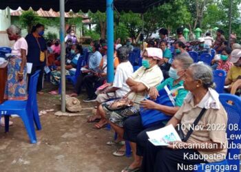 Heboh, Aksi Para Nakes Lembata pada Peringatan HKN Ke-58, Dari Baksos Hingga Panggung Hiburan