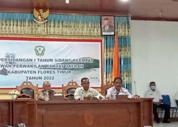 Polemik Uang Jasa Nakes, Ignas Uran : Tidak Ada Argumentasi Eliminasi Hak Nakes RSUD dr Hendrikus Fernandez Larantuka