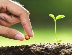 Belajar Setia Dari “Perkara” Kecil