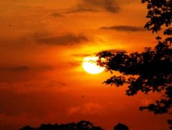 Sesal dan Ampun Tanpa Batas