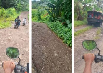 Warga Pertanyakan Sampai Kapan Kerusakan Jalan di Adonara Tengah Bisa Dituntaskan ?