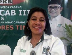 Ana Waha Kolin: Politik Berparas Perempuan