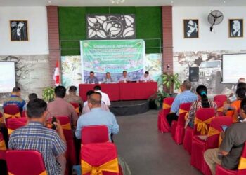 Mengintip Upaya Percepatan Eliminasi Malaria di Kabupaten Lembata: Ujung Tombak Itu Namanya Perdhaki (1)