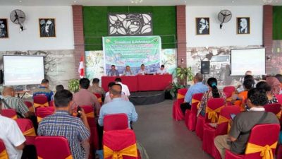 Mengintip Upaya Percepatan Eliminasi Malaria di Kabupaten Lembata: Ujung Tombak Itu Namanya Perdhaki (1)