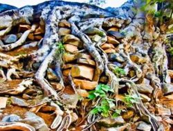 Berpijak di Atas Dasar Batu