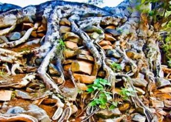 Berpijak di Atas Dasar Batu