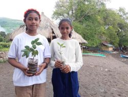 Anakan Tanaman Jadi Kado Nataru Komunitas Literasi SMPN 1 Lewolema