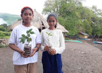 Anakan Tanaman Jadi Kado Nataru Komunitas Literasi SMPN 1 Lewolema