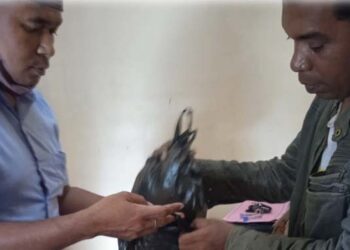 Serahkan Barang Bukti Pengeroyokan ODGJ di Lembata, Kuasa Hukum: Sudah Tahap Penyidikan