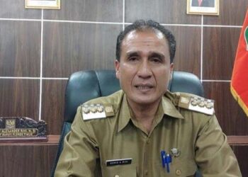 Pemkab Flotim Berhentikan Ribuan Tenaga Kontrak, Doris Rihi: Kita Sangat Butuhkan, Tapi…