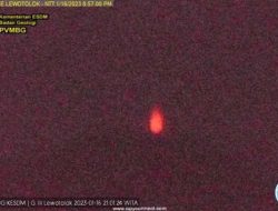 Gunung Ile Lewotolok Kembali Hembuskan Abu Vulkanik Setinggi 1.823 Meter DPL