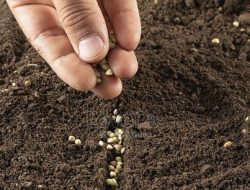 Berkeliling Menabur Kebaikan