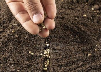 Berkeliling Menabur Kebaikan