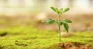 Tak Sia-Sia Berharap Dalam Iman