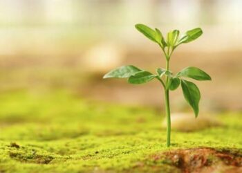 Tak Sia-Sia Berharap Dalam Iman