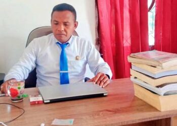 Bayi Ibu Fransiska Romana Bota Meninggal karena Kelainan Jantung, Berto Take: Bukan Mallpraktek Kedokteran