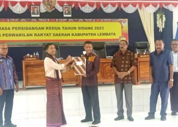 Pemkab Lembata Ajukan Ranperda Perubahan RTRW, Ini Sembilan Poin yang Jadi Dasarnya
