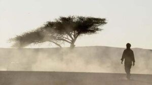 Meniatkan Jalan Kembali