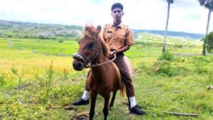 Viral Siswa SMAN 1 Rote Barat Daya Tunggang Kuda ke Sekolah, Kepsek: Tidak Ada Kaitan dengan Masuk Jam 05.00 Pagi
