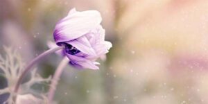 Betapa Berharga Sebuah Keteladanan