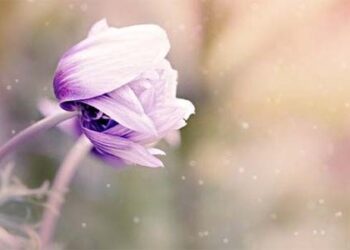 Betapa Berharga Sebuah Keteladanan