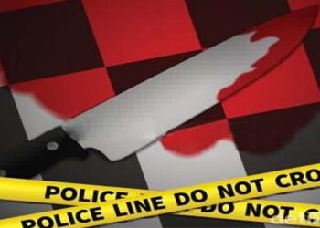 Seorang Ibu Tewas di Tangan Anak Kandungnya Gegara Bertengkar Soal Uang Jual Beli Tanah