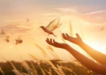 Berbagi Damai Sejahtera