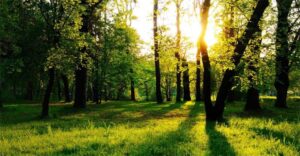 Resiko Menjadi Murid Yesus