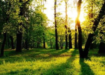 Resiko Menjadi Murid Yesus