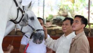 Gibran Digadang Jadi Cawapres Dampingi Prabowo, Jokowi Malah Tertawa