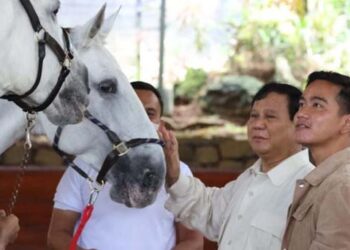 Gibran Digadang Jadi Cawapres Dampingi Prabowo, Jokowi Malah Tertawa