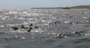 Tantangan tak Menghentikan Pewartaan